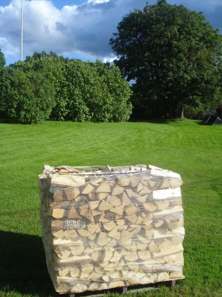 62 1390332279